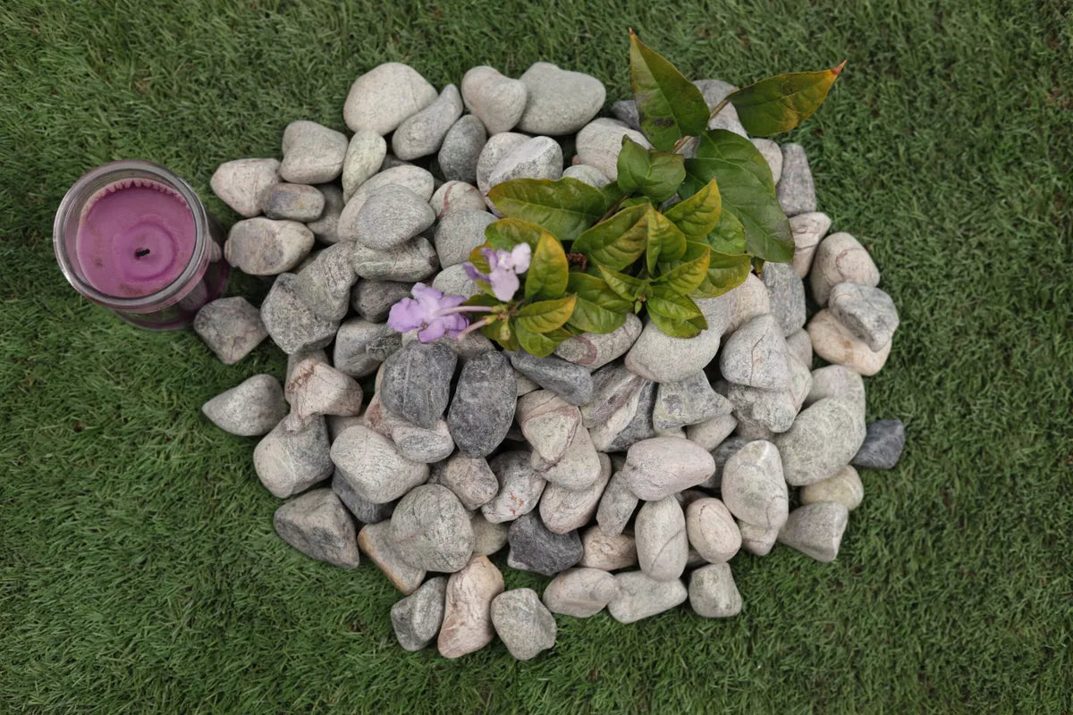 Rainforest Green Pebbles