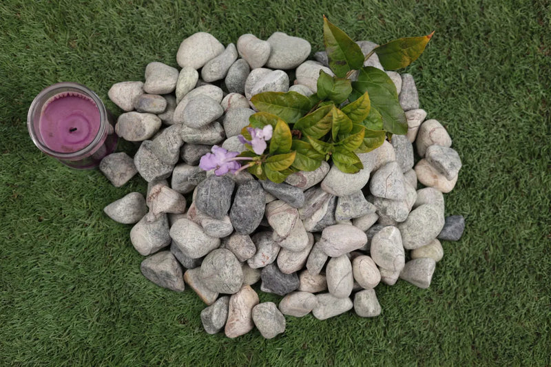 Rainforest Green Pebbles