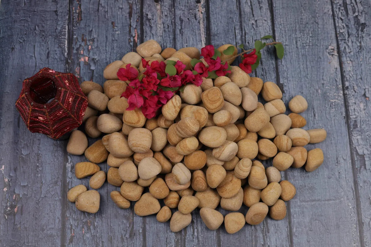 Golden Teak  Pebbles