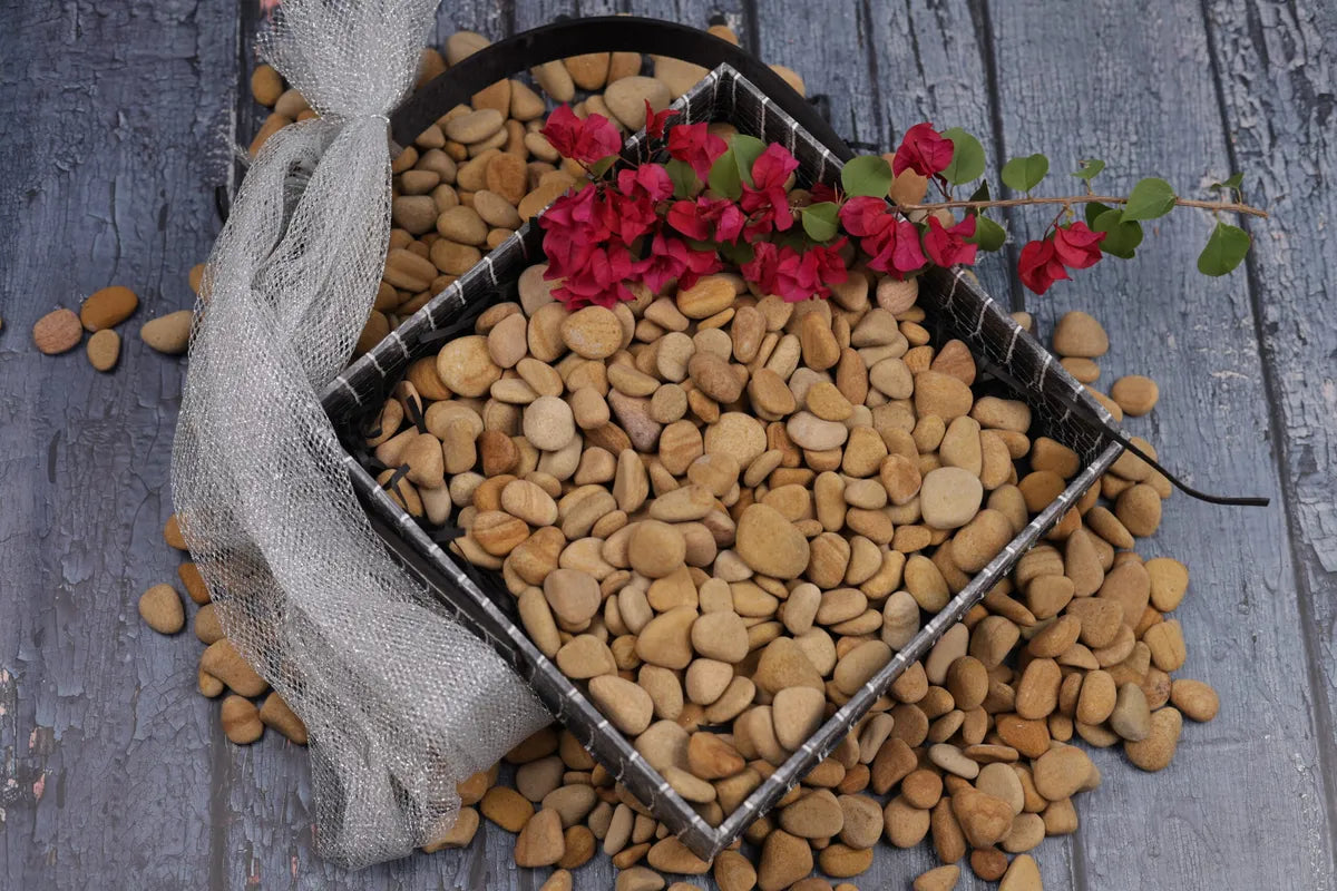 Golden Teak  Pebbles