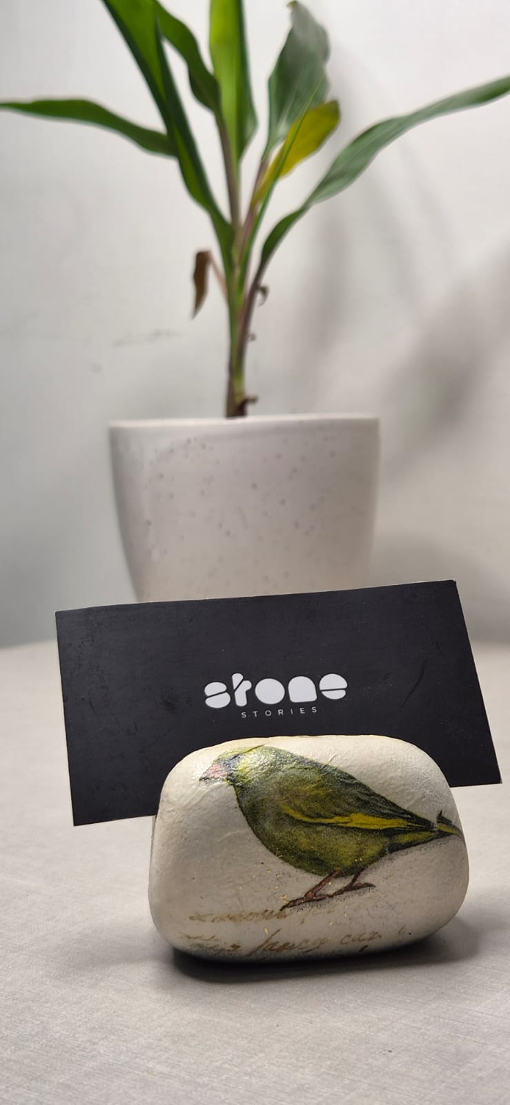 Chirpy birds business card holders