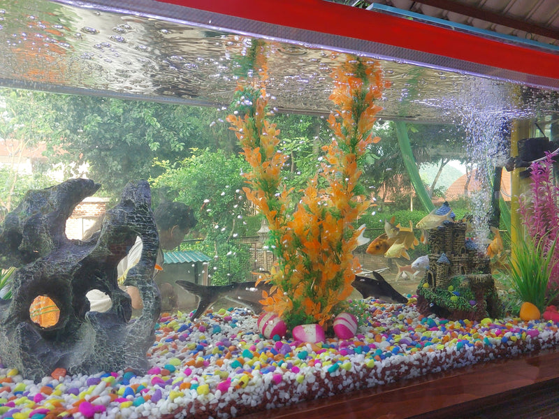 Aquariums