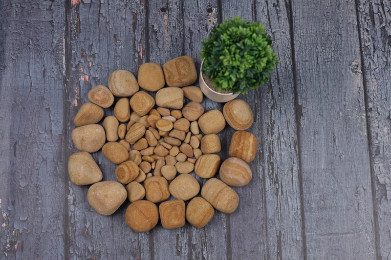 Golden Teak  Pebbles