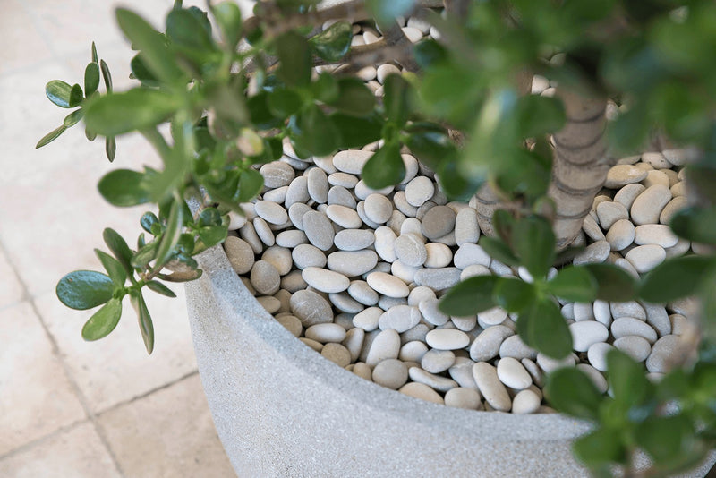 Indoor Planters & Atriums