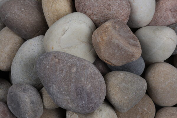 Stonestories River Pebbles Rocks for Garden, Landscaping, Aquarium and Home Decor M (2-3 inch) - Image 4