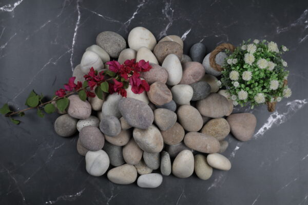 Stonestories River Pebbles Rocks for Garden, Landscaping, Aquarium and Home Decor M (2-3 inch) - Image 5