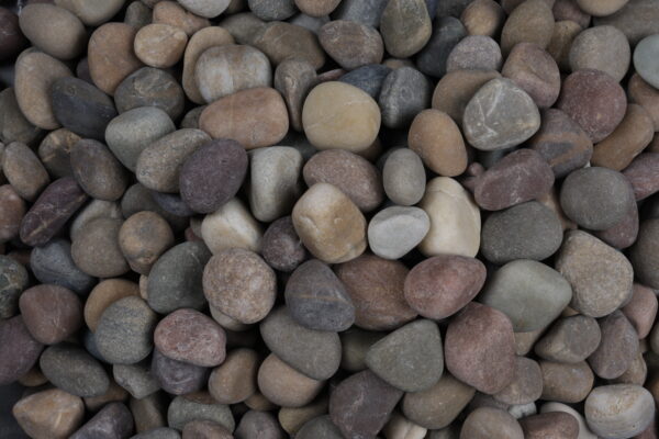 Stonestories River Pebbles Rocks for Garden, Landscaping, Aquarium and Home Decor M (2-3 inch) - Image 3